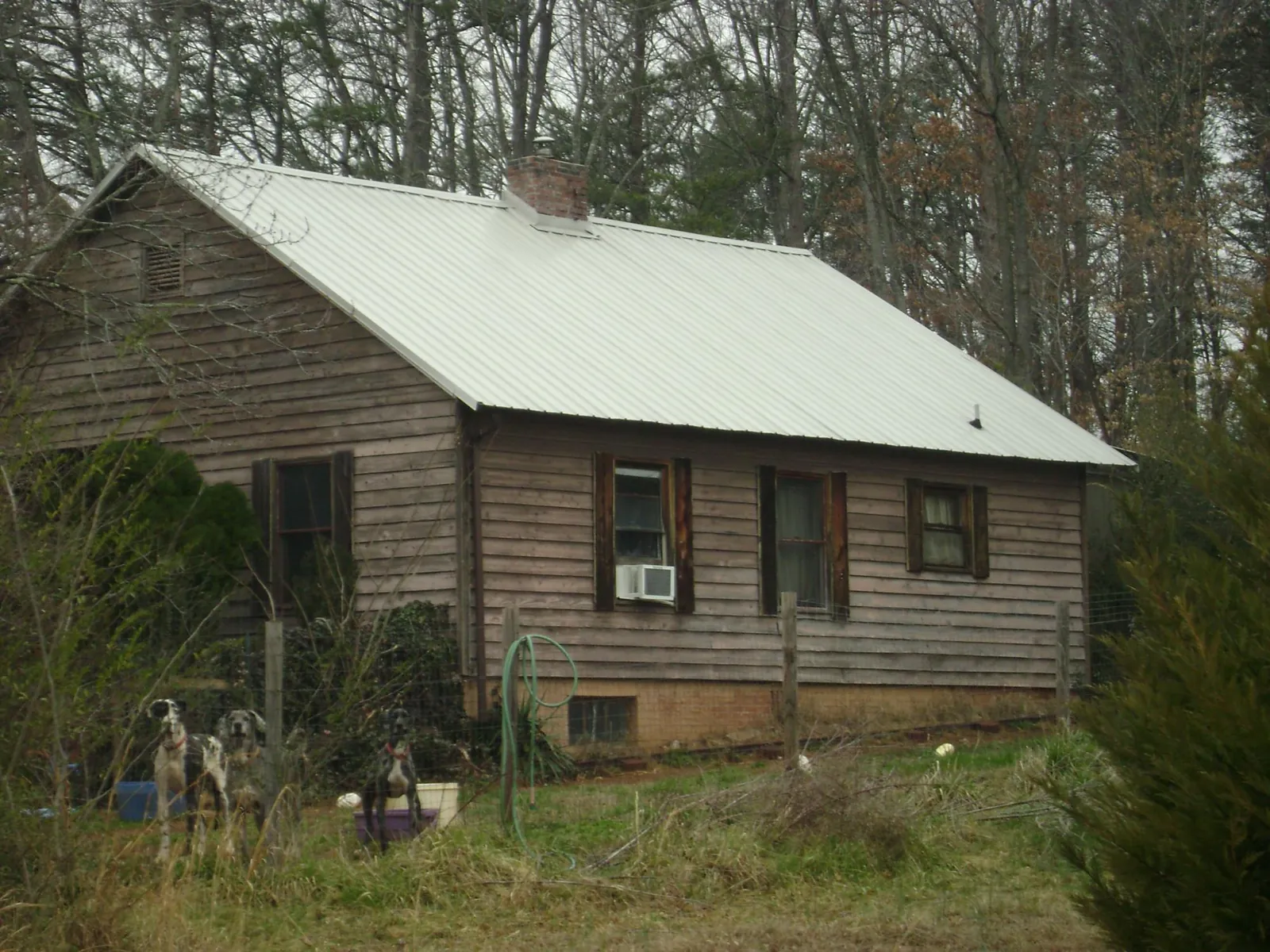 White metal roof on an old wood sided farmhouse, from a Asphalt Shingle Roof Repair job in Avilla